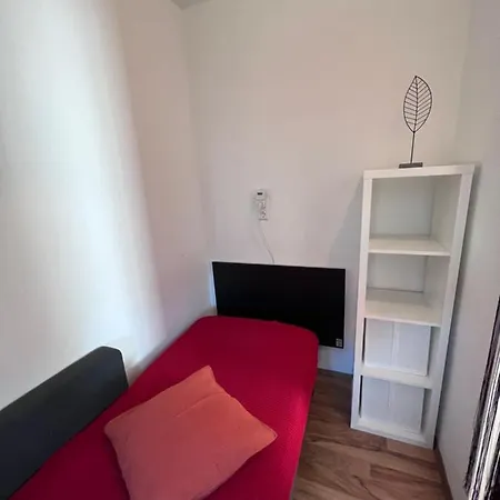 Rose No 4 Friedrichshafen