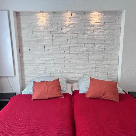 Rose No 4 * Friedrichshafen