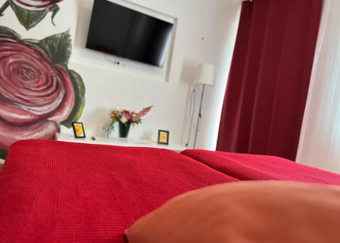 Rose No 4 프리드리히스하펜