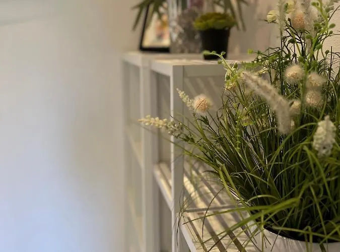 Rose No 4 * Friedrichshafen