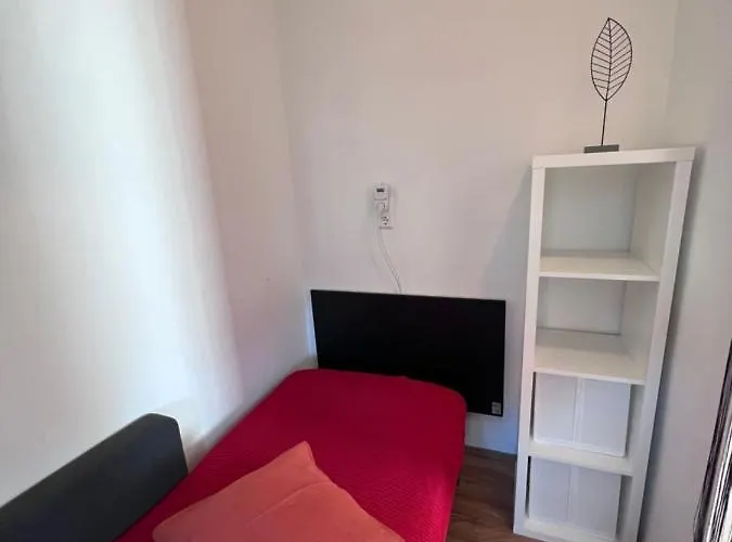 Rose No 4 Friedrichshafen